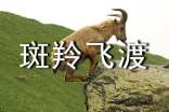 斑羚飛渡教案