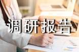 人才隊伍建設調研報告