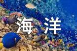 海洋王國游記作文700字