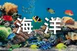 海洋世界的作文(通用48篇)