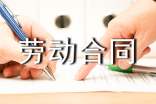 杭州市勞動合同8篇