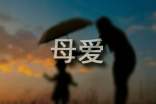 (合集)母愛的作文14篇