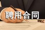 聘用合同范本11篇