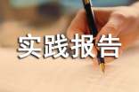 2023年最新寒假社會實踐報告 寒假社會實踐調研報告