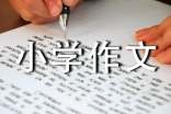 實(shí)用的小學(xué)的小學(xué)作文800字合集九篇