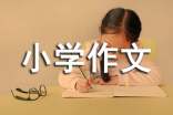 精選小學作文900字合集六篇