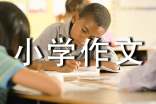 【精品】小學作文700字7篇