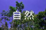 大自然的作文(大全7篇)